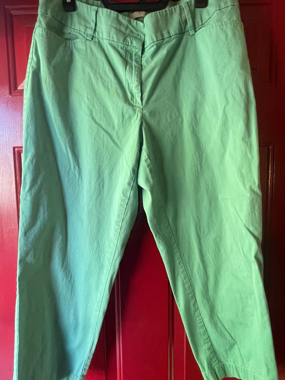 LOFT Mint Green Ankle Crop Chinos